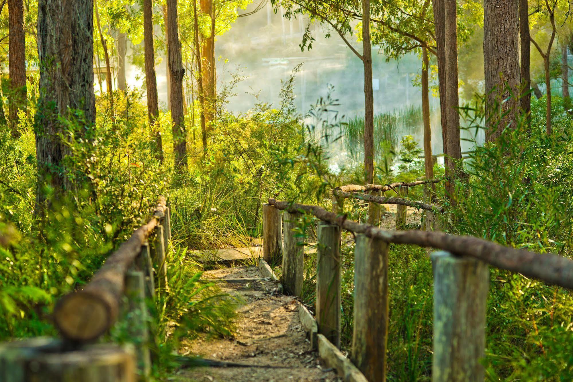 เคียนินนี บุช คอตเทจ Hotel ทาธรา ภายนอก รูปภาพ